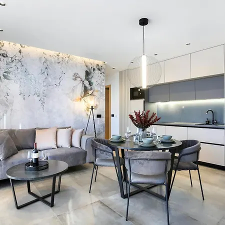 Fly - Ap2 - Mpolo מדולין