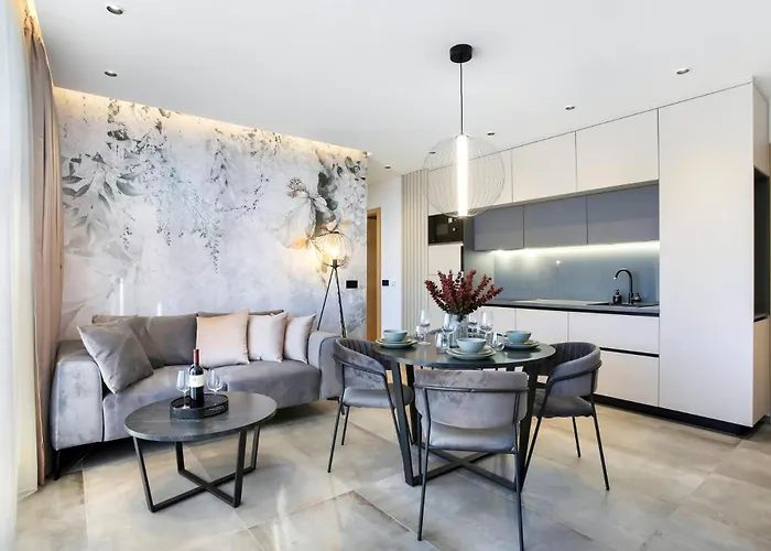 Fly - Ap2 - Mpolo Medulin