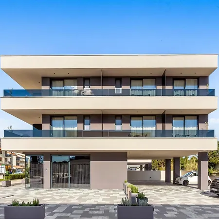 Fly - Ap2 - Mpolo * Medulin